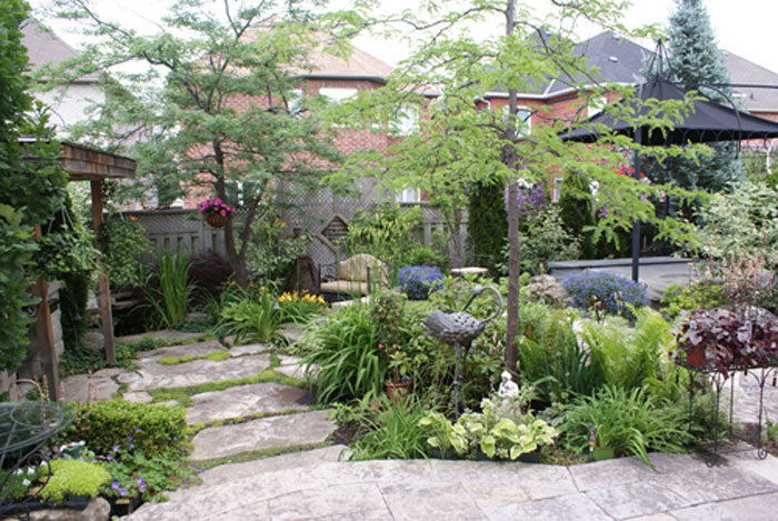 landscape12